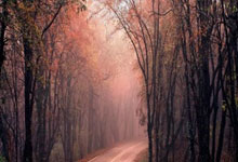 如何编辑PowerPoint主题属性标志信息