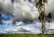 如何编辑PowerPoint主题属性标志信息