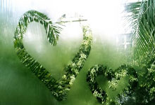 Some Story——The Next Cataclysm